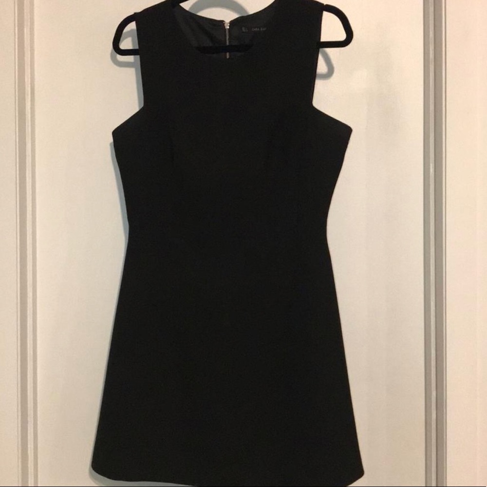 Zara fit and flare mini dress